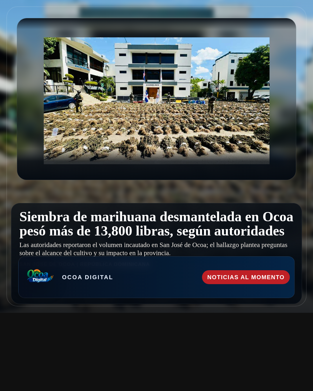 Siembra de marihuana desmantelada en Ocoa pesó más de 13,800 libras, según autoridades